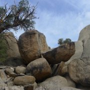 MonoBasin 164 : MonoBasin